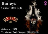 Baileys