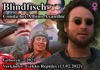 Blindfisch