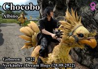 Chocobo