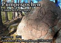 Pumperjochen