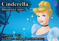 Cinderella