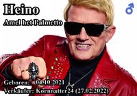 Heino