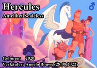 Hercules