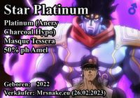 Star Platinum