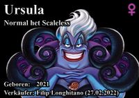 Ursula